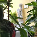 Apartment E&e