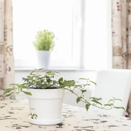 E&e Apartamento Liubliana