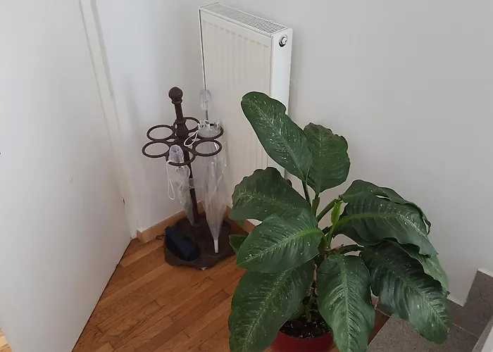 E＆e リュブリャナ